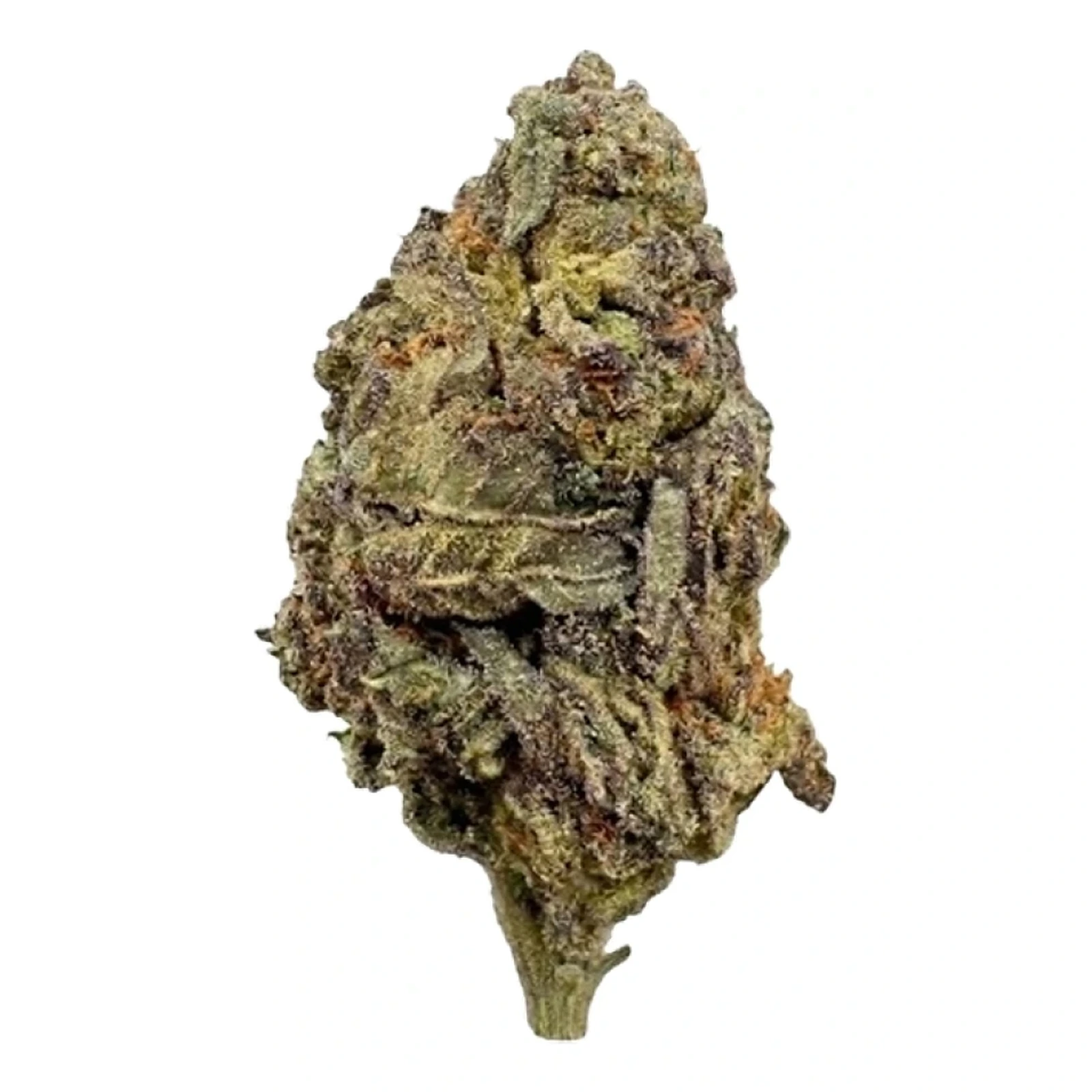 Gelato
