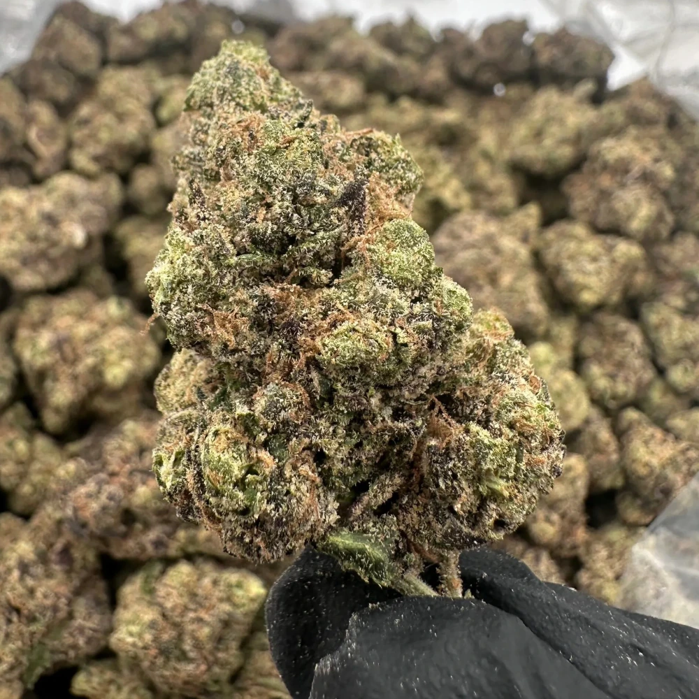 Lemon Cherry Sherb