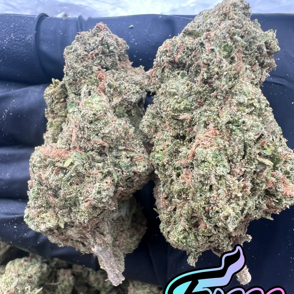 Blue Dream Flower