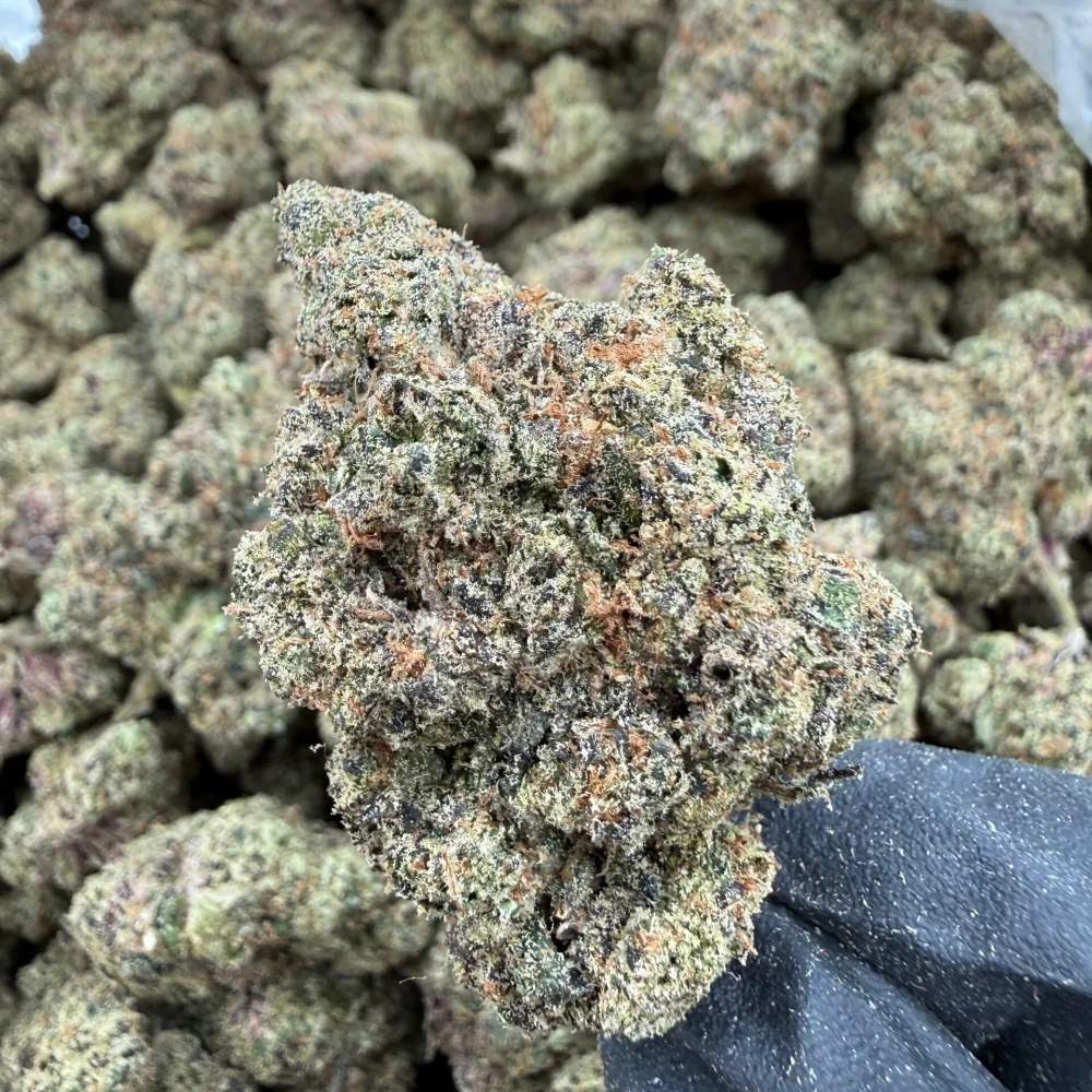 Blue Jam