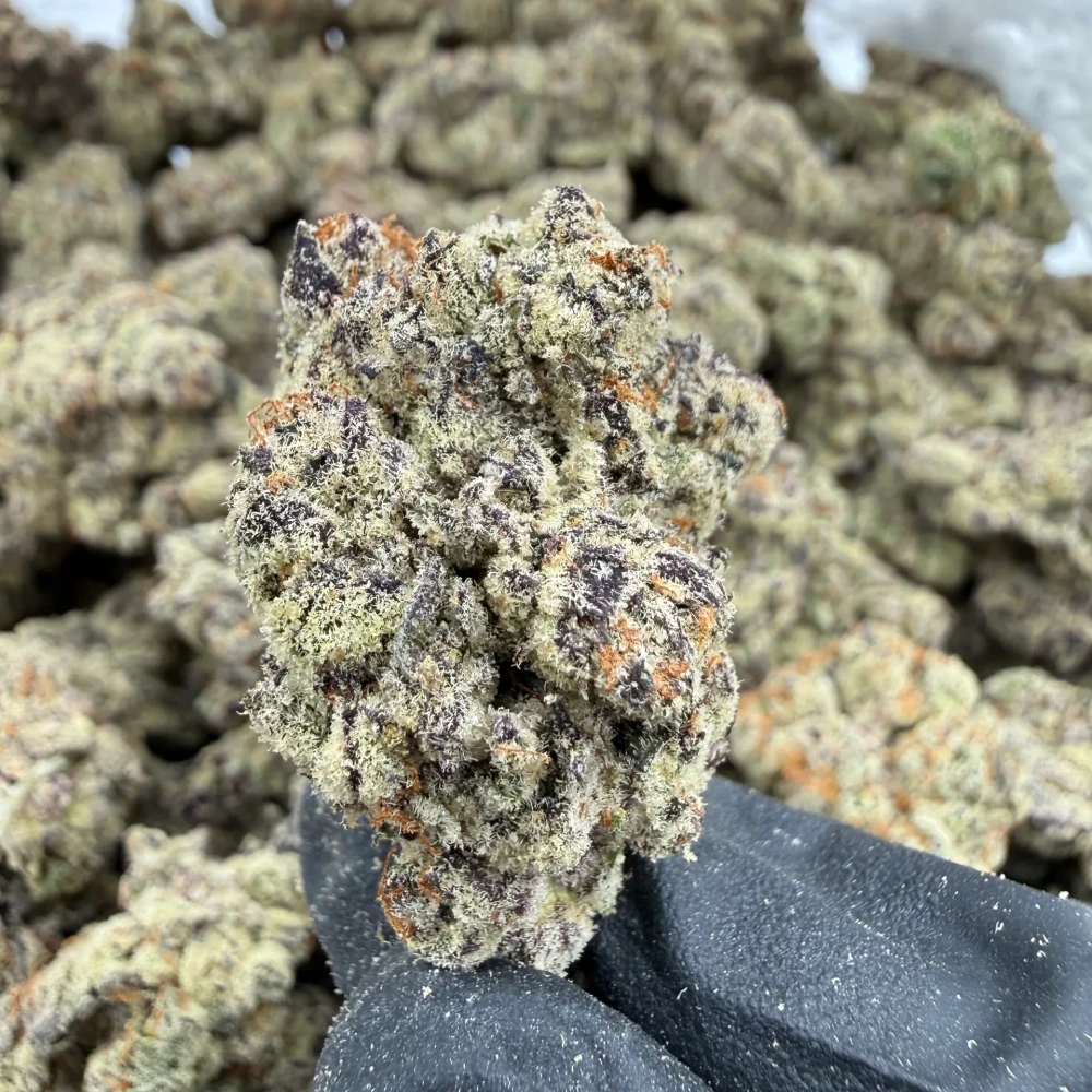 Blueberry Pie