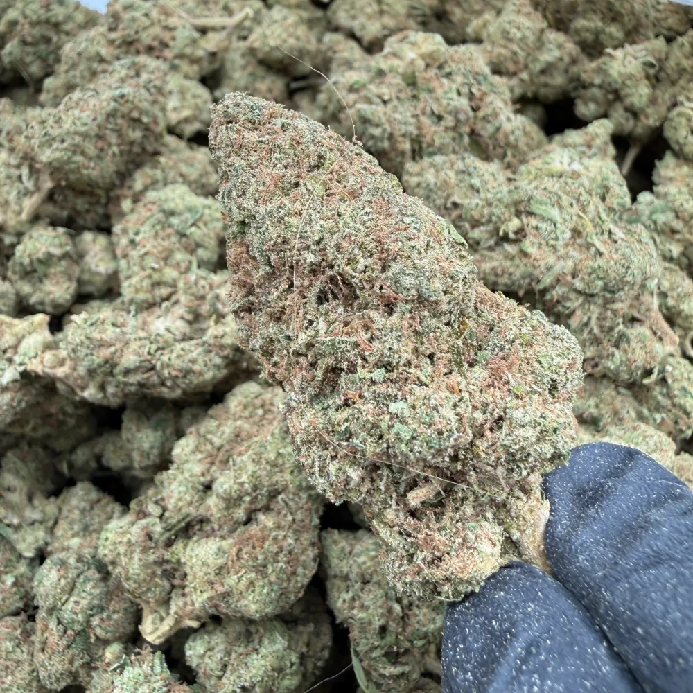 Chemdawg